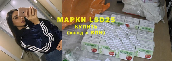 тгк Дмитриев