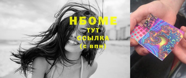 тгк Дмитриев