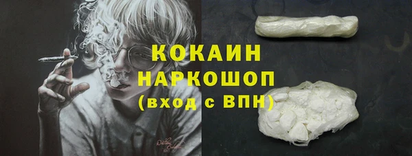 скорость Ельня