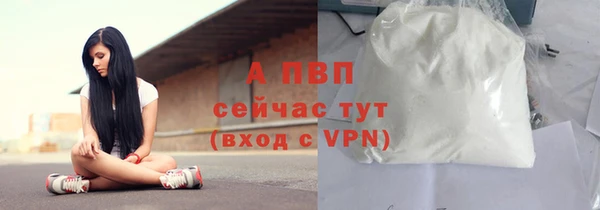 винт Дмитров