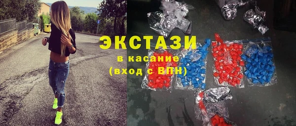 тгк Дмитриев
