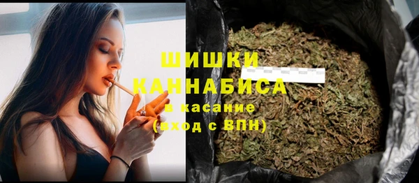 скорость Ельня