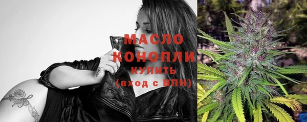 скорость Ельня