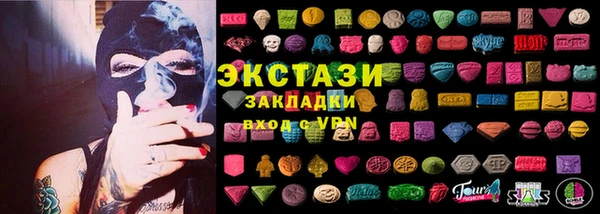 скорость Ельня