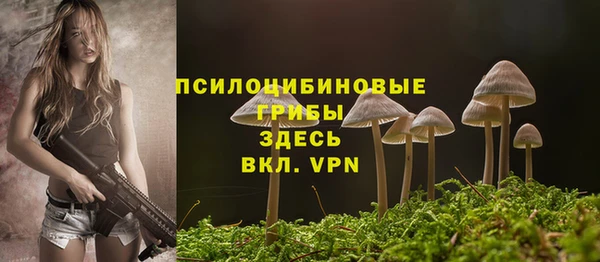 mdma Заволжск