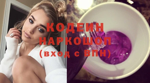 тгк Дмитриев